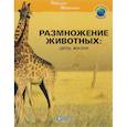 russische bücher: Жан-Бернар Фонтэн - Размножение животных: цепь жизни