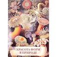 russische bücher: Геккель Г. - Красота форм в природе