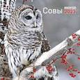 russische bücher:  - Совы. Календарь настенный на 2023 год