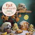 russische bücher: Елена Еремина - Ёжекалендарь (пряники). Календарь настенный на 2023 год