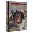 russische bücher: Спектор А.А. - Большая энциклопедия. Лошади