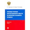 russische bücher: Васильева Елена Геннадьевна - Правовые позиции Конституционного Суда РФ по вопросам уголовного процесса, 2014–2021 гг.