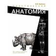 russische bücher: Приймова Мария Юрьевна - Пластическая анатомия