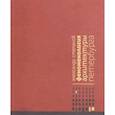 russische bücher: Степанов Александр Викторович - Феноменология архитектуры Петербурга