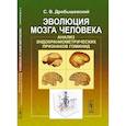 russische bücher: Дробышевский С.В. - Эволюция мозга человека. Анализ эндокраниометрических признаков гоминид