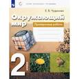 russische bücher: Чудинова Елена Васильевна - Окружающий мир. 2 класс. Проверочные работы. ФГОС