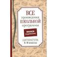 russische bücher: Лермонтов - Все произведения школьной программы. Краткое содержание. Литература. 5–9 классы