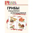 russische bücher:  - Грибы. Съедобные и несъедобные