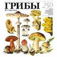 russische bücher: Сергеева М.Н. - Грибы: 250 видов съедобных, ядовитых и лечебных грибов