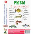 russische bücher:  - Рыбы в картинках. Наглядное пособие для педагогов, логопедов, воспитателей и родителей