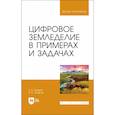 russische bücher:  - Цифровое земледелие в примерах и задачах. Учебное пособие для вузов