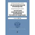 russische bücher:  - ФЗ "Об исполнительном производстве". ФЗ "Об органах принудительного исполнения Российской Федерации". В ред. на 2023 г. / ФЗ №229-ФЗ. ФЗ №118-ФЗ