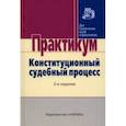 russische bücher: Комарова Валентина Викторовна - Конституционный судебный процесс. Практикум