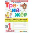 russische bücher: Тихомирова Елена Михайловна - Окружающий мир. 1 класс. Тренажёр. К учебнику А. А. Плешакова. ФГОС