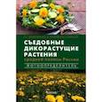 russische bücher: Замятина Наталия Георгиевна - Съедобные дикорастущие растения средней полосы России. Фотоопределитель