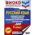 russische bücher: Степанова Людмила Сергеевна - Русский язык. 5 класс. Большой сборник тренировочных вариантов проверочных работ