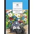 russische bücher: Платонов А. П. - Неизвестный цветок