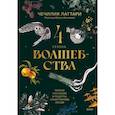 russische bücher: Чечилия Латтари - 4 сезона волшебства. Тайные послания и рецепты, нашептанные лесом
