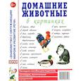 russische bücher:  - Домашние животные в картинках. Наглядное пособие для педагогов, логопедов, воспитателей и родителей