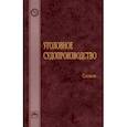 russische bücher:  - Уголовное судопроизводство. Словарь