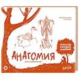 russische bücher: Walter Foster - Анатомия для художников. Экспресс-курс + скетчбук