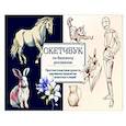russische bücher: А. Н. Николаева - Скетчбук по базовому рисованию. Простые пошаговые уроки по рисованию предметов, животных и людей