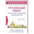 russische bücher: Ростовцев-Попель А.А., Тетрадзе М.И. - Грузинский язык! Большой понятный самоучитель. Всё подробно и "по полочкам"