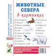 Животные севера в картинках. Наглядное пособие для педагогов, логопедов, воспитателей и родителей