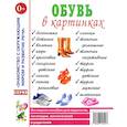 russische bücher: Кулов С. - Обувь в картинках. Наглядное пособие для педагогов, логопедов, воспитателей и родителей