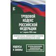 russische bücher:  - Трудовой кодекс Российской Федерации на 1 апреля 2024 года. Включая льготы, компенсации и гарантии для мобилизованных и их семей. Со всеми изменениями, законопроектами и постановлениями судов