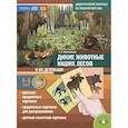 russische bücher: Куликовская Т.А. - Дикие животные наших лесов и их детеныши. Дидактический материал по лексической теме. 4-6 лет