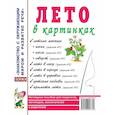 russische bücher: Кудряков Д. - Лето в картинках. Наглядное пособие для педагогов, логопедов, воспитателей и родителей