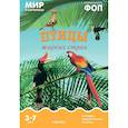 russische bücher:  - Птицы жарких стран: Наглядно-дидактическое пособие