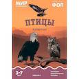 russische bücher:  - Птицы хищные: Наглядно-дидактическое пособие