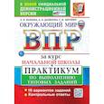 russische bücher: Волкова Е.В., Данилова А.В., Цитович Г.И. - Окружающий мир. Всероссийская проверочная работа за курс начальной школы. Практикум по выполнению типовых заданий. 10 вариантов