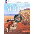 russische bücher: Чудинова Елена Васильевна - Окружающий мир. 3 класс. Учебное пособие. В 2-х частях. Часть 2. ФГОС