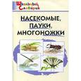 russische bücher: Сергеева М. Н. - Насекомые, пауки, многоножки