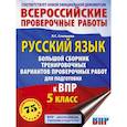 russische bücher: Степанова Л.С. - Русский язык. Большой сборник тренировочных вариантов проверочных работ для подготовки к ВПР. 5 класс