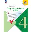russische bücher: Глаголева Юлия Игоревна - Окружающий мир: предварительный контроль, текущий контроль, итоговый контроль. 4 класс