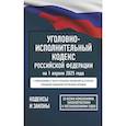 russische bücher:  - Уголовно-исполнительный кодекс Российской Федерации на 1 апреля 2025 года. Со всеми изменениями, законопроектами и постановлениями судов