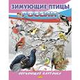 russische bücher:  - Зимующие птицы России