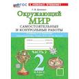 russische bücher: Цитович Галина Ивановна - Окружающий мир. 2 класс. Самостоятельные и контрольные работы к учебнику А.А. Плешакова. Часть 2