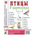 russische bücher:  - Птицы в картинках. Выпуск 2. Наглядное пособие для педагогов, логопедов, воспитателей и родителей