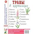 russische bücher:  - Травы в картинках. Наглядное пособие для педагогов, логопедов, воспитателей и родителей