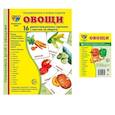 russische bücher:  - Овощи. Учебное издание. Демонстрационные картинки. Комплект из 2-х форматов: 173х220 и 63х87