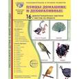 russische bücher: Цветкова Татьяна - Птицы домашние и декоративные. Учебное издание. (16 демонстрационных картинок с текстом)