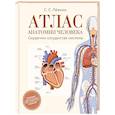 russische bücher: Лёвкин С.С. - Атлас анатомии человека. Сердечно-сосудистая система