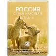 russische bücher:  - Россия самая красивая страна. Фотоконкурс 2025