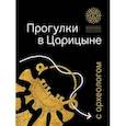 russische bücher: Ермолов П. - Прогулки в Царицине с археологом