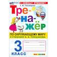 russische bücher: Тихомирова Е. М. - Окружающий мир. 3 класс. Тренажёр. К учебнику А. А. Плешакова. ФГОС